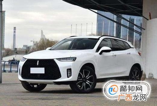 为什么老司机不会选择电动汽车？