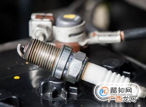 新手如何正确养车用车？