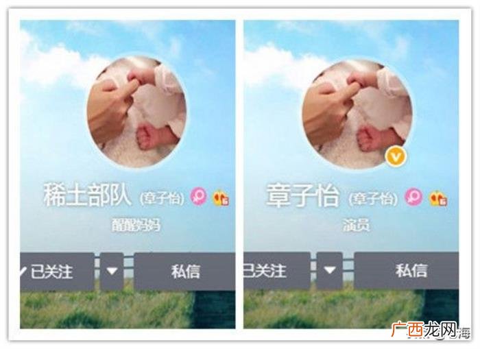 章子怡真名，改网名为真名的章子怡过烟火人生接地气
