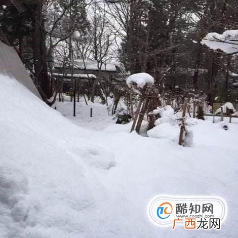 下雪天注意事项