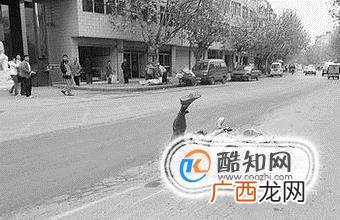 下雪天注意事项