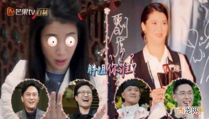 袁咏仪怀孕，袁咏仪怀孕时很胖参加电影首映被嘲笑