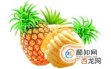 新车去味的最佳方法