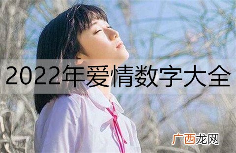 2022年爱情数字大全，帮你解析爱的密码