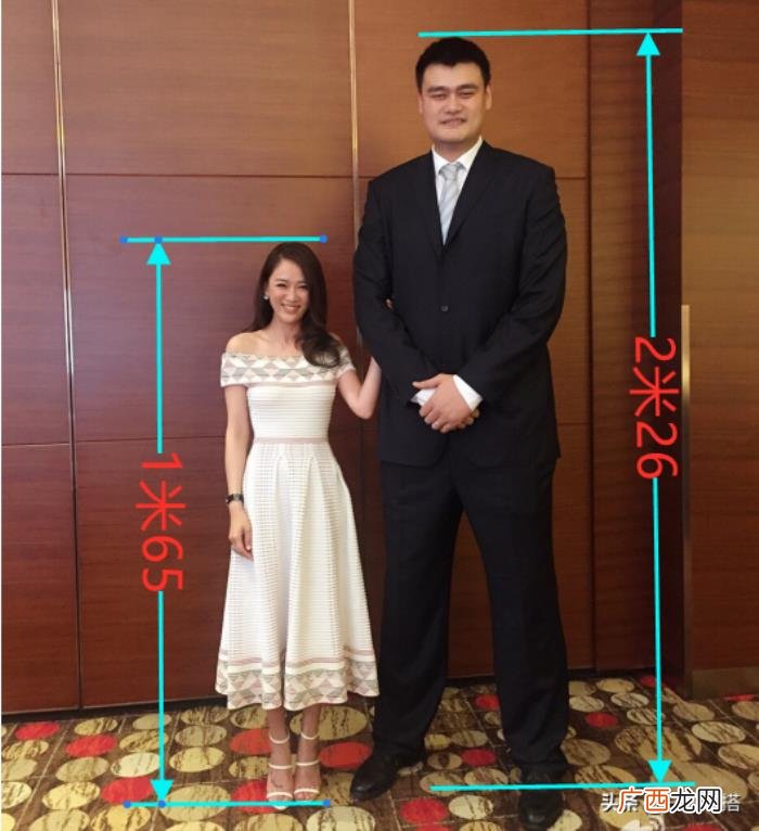 陈乔恩身高，1米65的陈乔恩和2米26的姚明同框