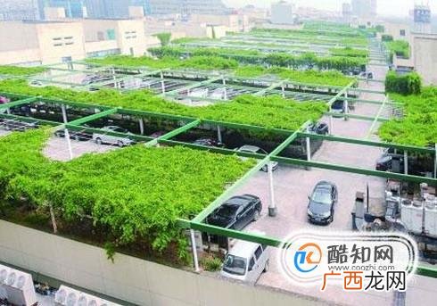 养一辆10万的车一年要花多少钱？