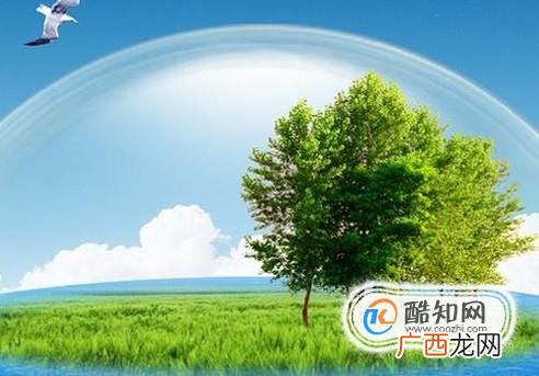 尾气处理装置的简单介绍