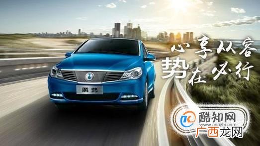 国内新能源汽车有哪些