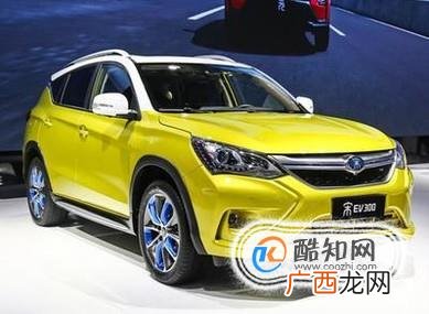 国内新能源汽车有哪些