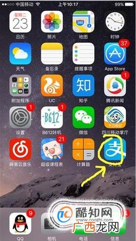 支付宝怎么交违章罚款