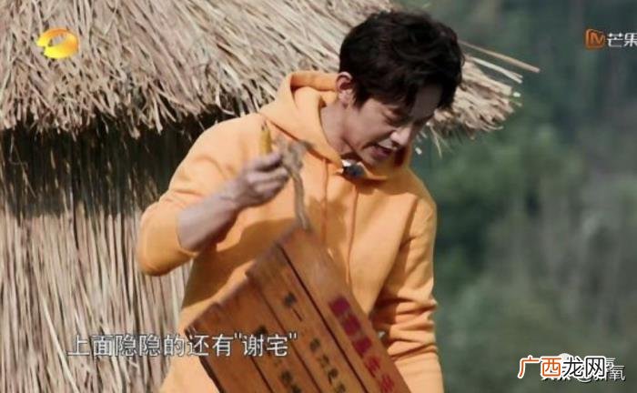 蔡徐坤张杰，欧阳娜娜和蔡徐坤看张杰演唱会被拍疑似恋爱