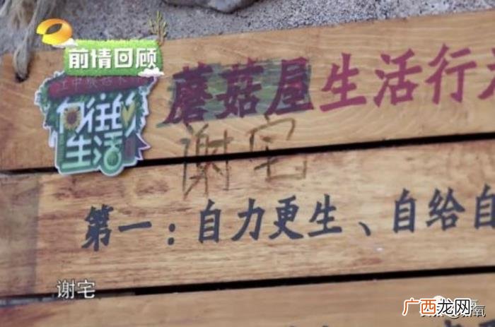 蔡徐坤张杰，欧阳娜娜和蔡徐坤看张杰演唱会被拍疑似恋爱