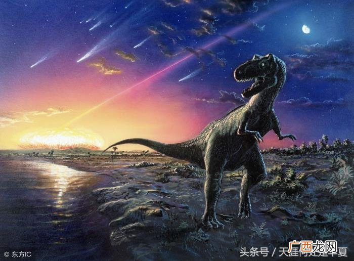 进化论缺陷，适者生存理论的达尔文生物进化论有很大缺陷
