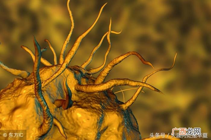 进化论缺陷，适者生存理论的达尔文生物进化论有很大缺陷
