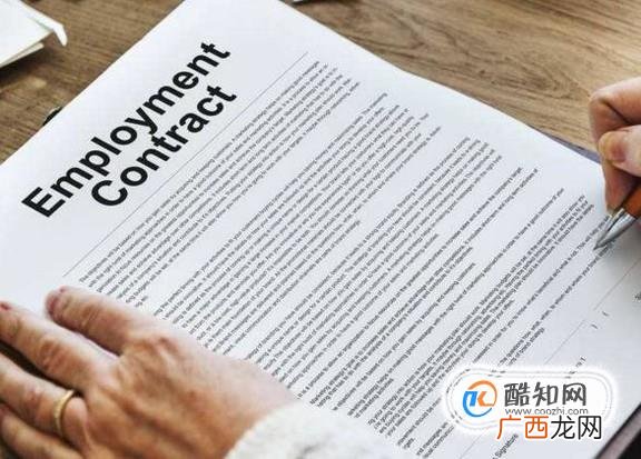 合同的内容包括哪些主要条款?