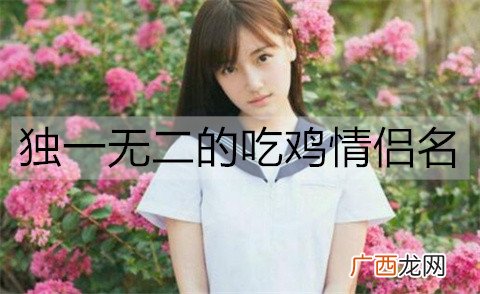 独一无二的吃鸡情侣名都有哪些？