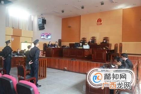 开庭庭审的过程是怎样的
