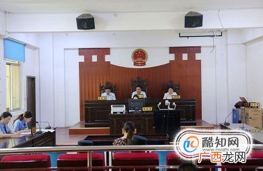 开庭庭审的过程是怎样的