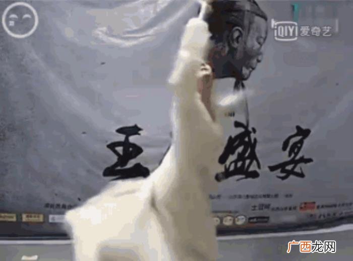 李易峰相亲，胡一天相亲杨幂大头贴再到李易峰采访