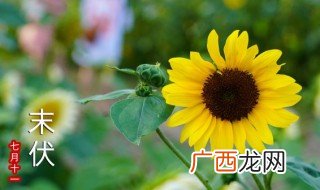 云南三伏天应注意什么 云南三伏天应注意哪些