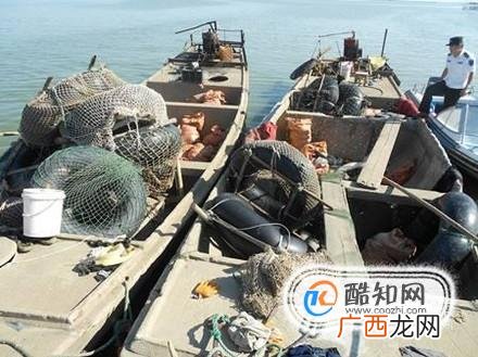 非法捕捞水产品罪立案标准是什么