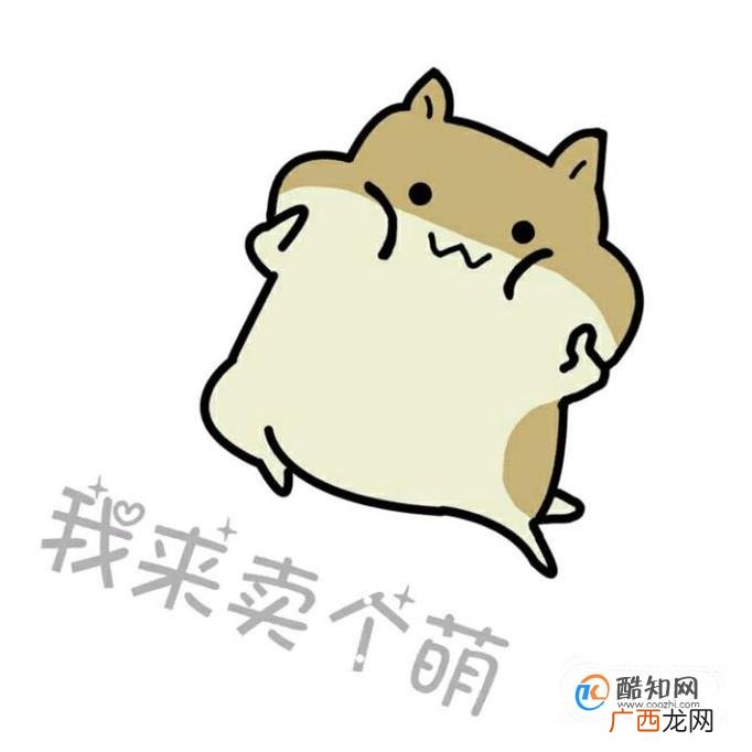 赌博多少钱才能够得上罚款拘留