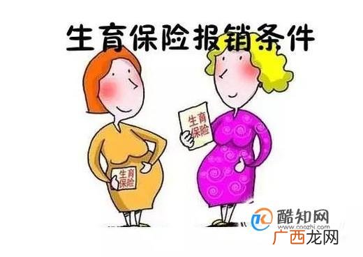 社保中的生育保险怎么用