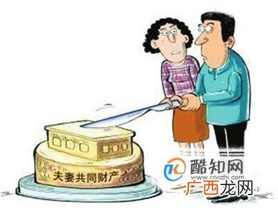 什么夫妻共同财产