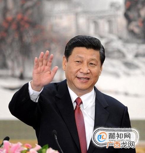当选主席需要哪些条件