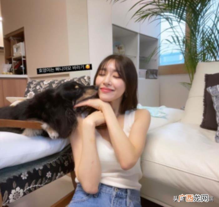 黄美英美国,少女时代黄美英tiffany美国发展一般