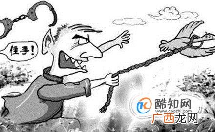 非法运输出售珍贵野生动物罪的认定标准是什么