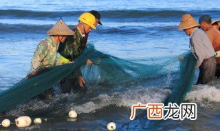 秋天草鱼吃什么 秋冬季草鱼最爱吃啥
