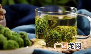 三七花茶的功效与作用及禁忌 三七花的功效与作用及禁忌症有什么