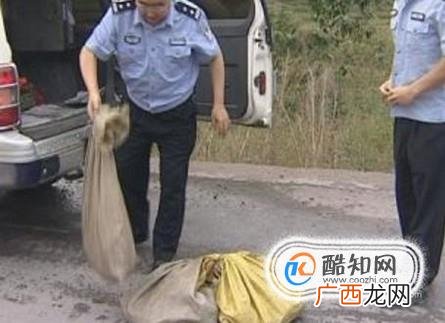 非法运输或出售濒危动物有什么后果
