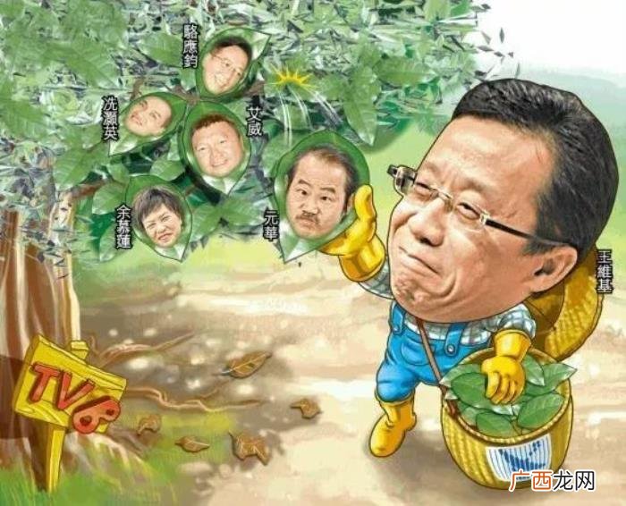 杨怡胡定欣，胡定欣、杨怡苦熬数十载才熬出视后