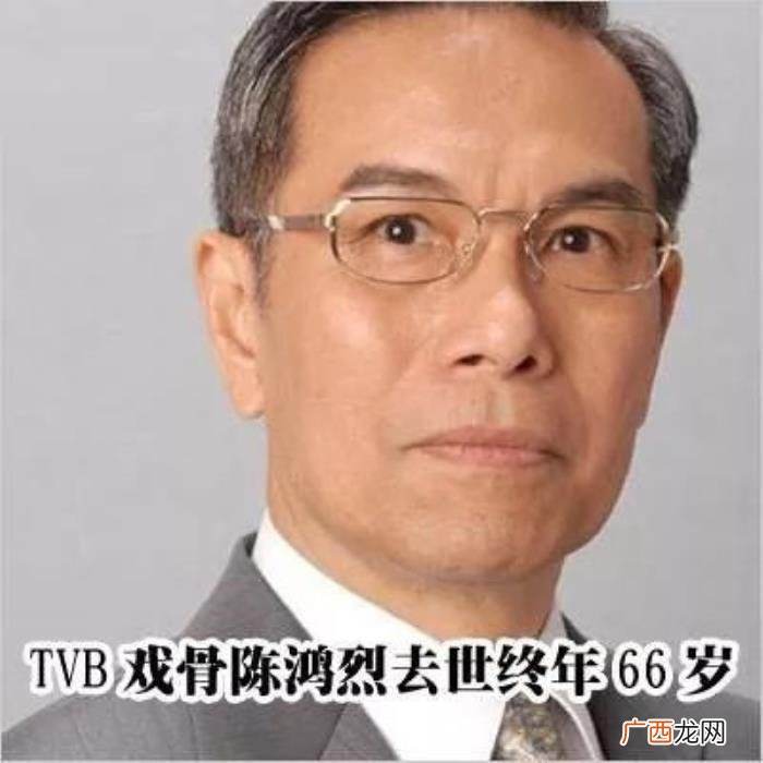 杨怡胡定欣，胡定欣、杨怡苦熬数十载才熬出视后