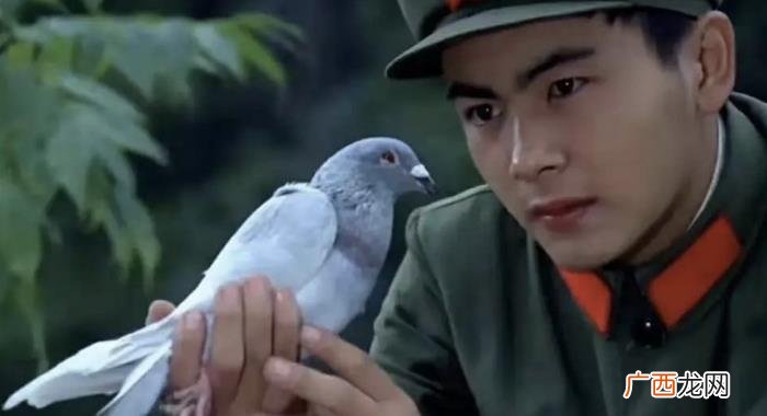 杨洋年轻的，未发福的洪剑涛年轻时和杨洋有一拼