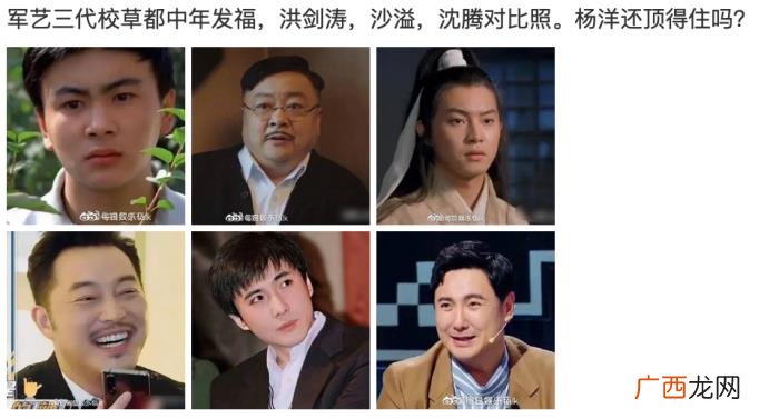 杨洋年轻的，未发福的洪剑涛年轻时和杨洋有一拼