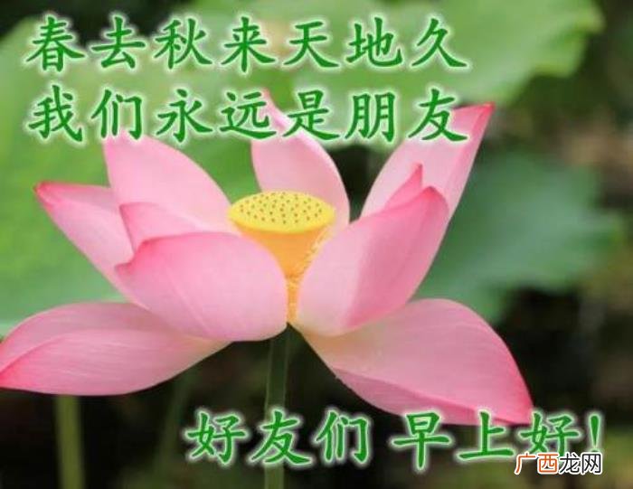 图片配文字，清新带字图片安康问候祝福图片大全