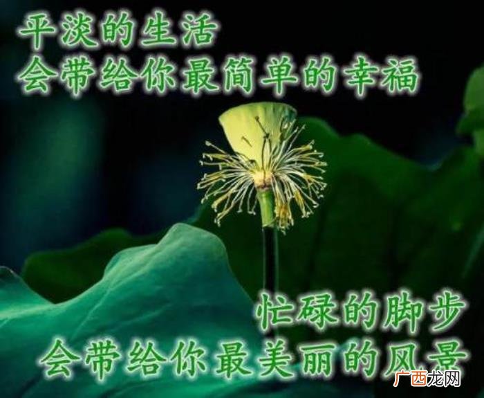 图片配文字，清新带字图片安康问候祝福图片大全