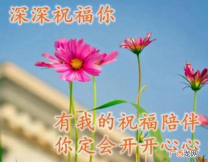 图片配文字，清新带字图片安康问候祝福图片大全