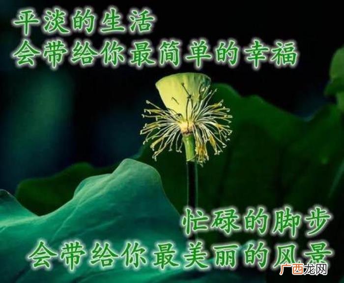 图片配文字，清新带字图片安康问候祝福图片大全