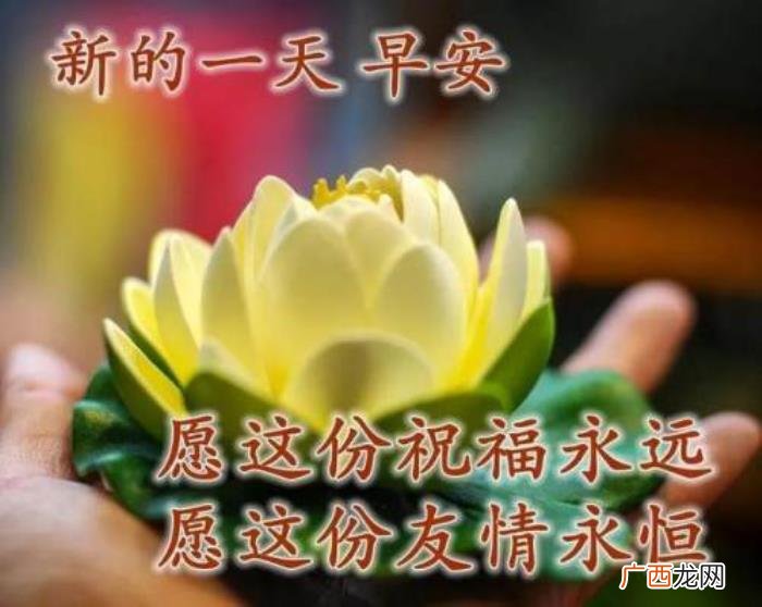 图片配文字，清新带字图片安康问候祝福图片大全