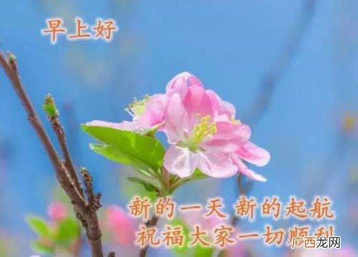 图片配文字，清新带字图片安康问候祝福图片大全