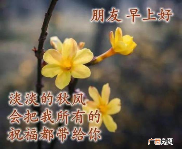 图片配文字，清新带字图片安康问候祝福图片大全