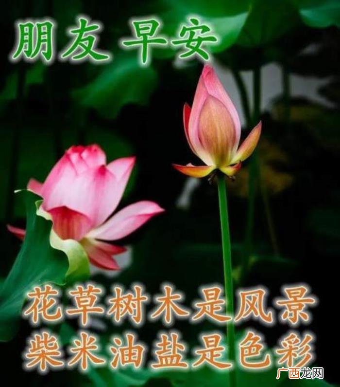 图片配文字，清新带字图片安康问候祝福图片大全