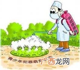 青少年违法犯罪的危害