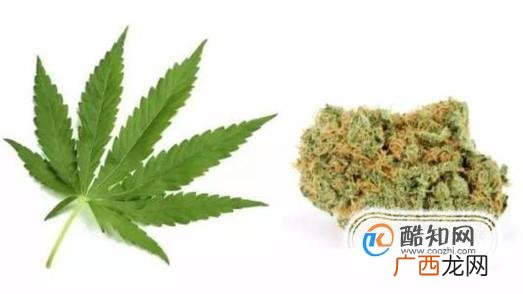 吸食大麻是什么罪