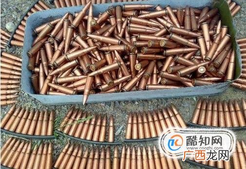 非法持枪有什么后果