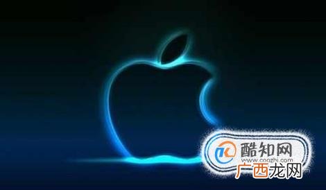 美国商标注册成功后该如何进行维护？